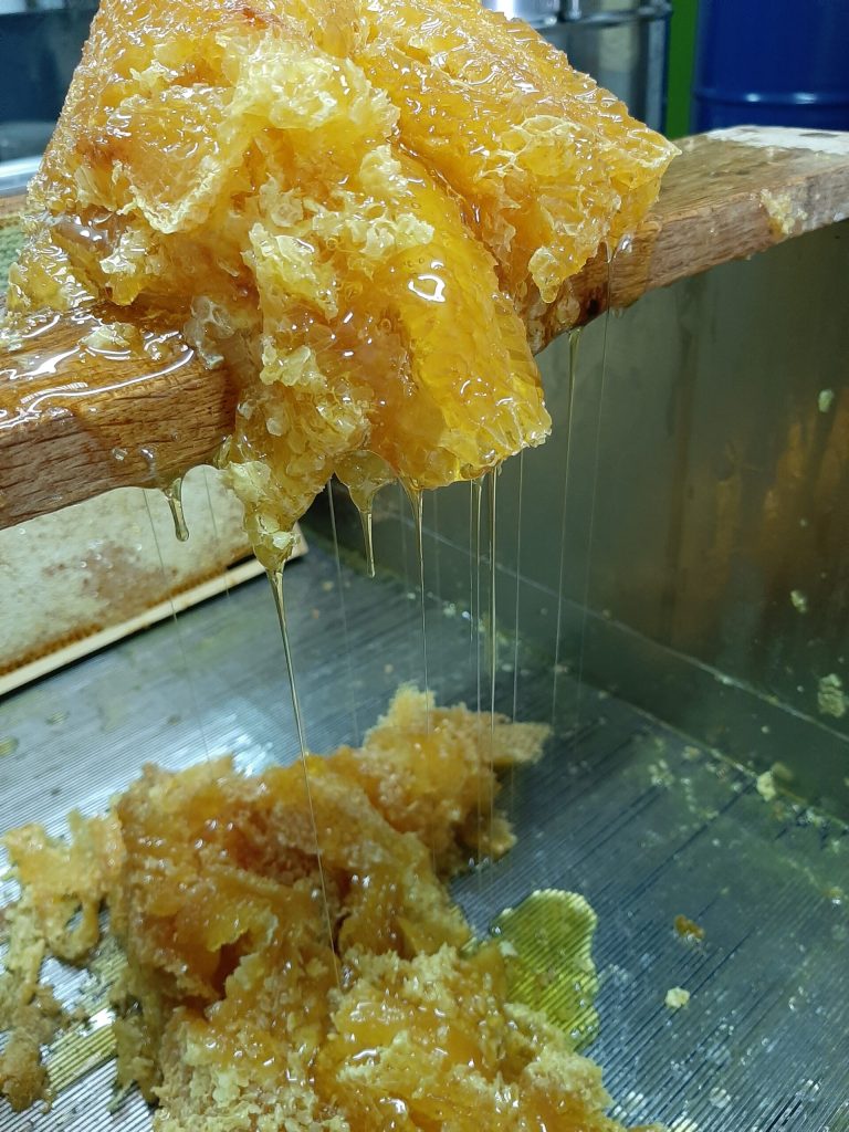 miel coulant couleur doré en cours de fabrication