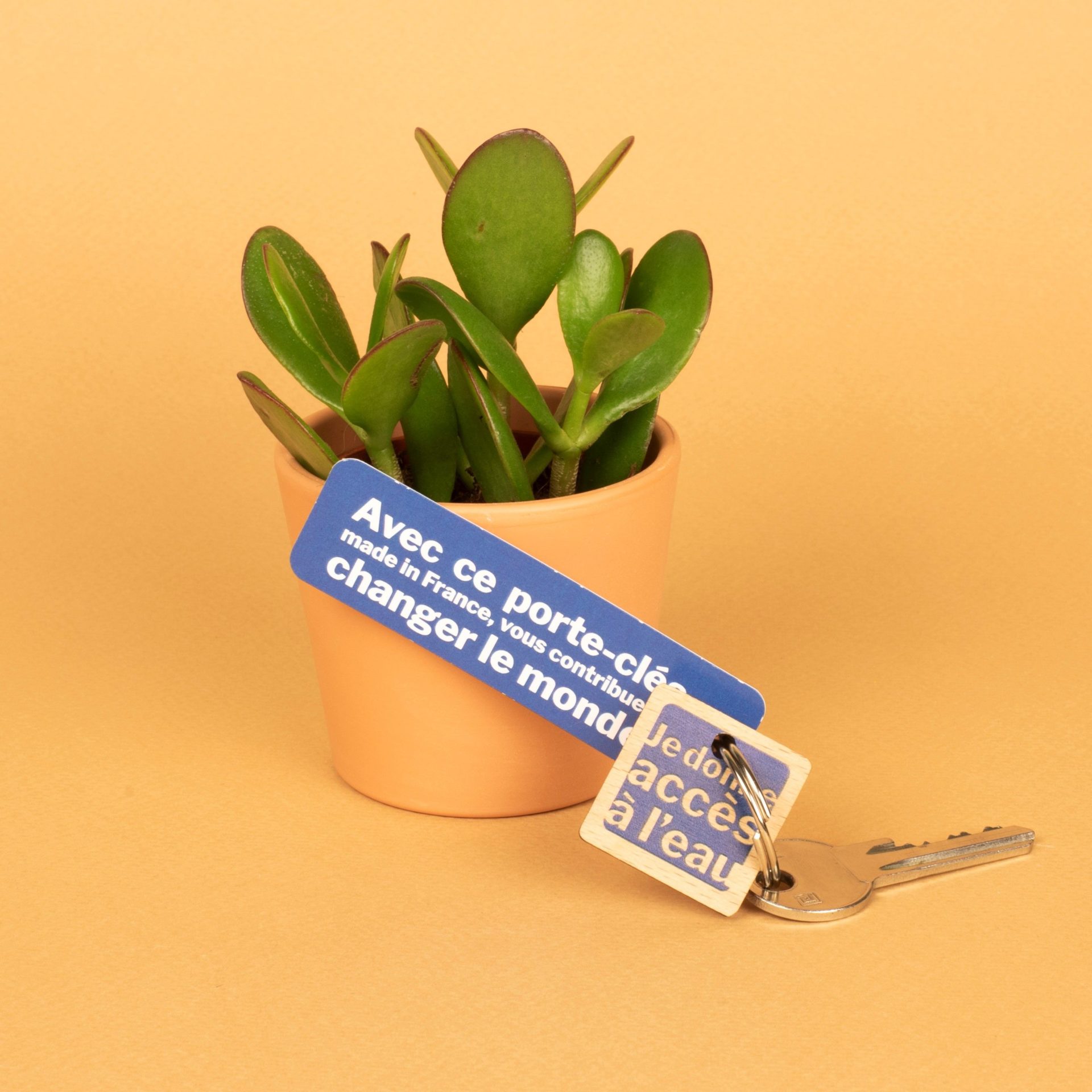 porte clé bleue à coté d'une plante