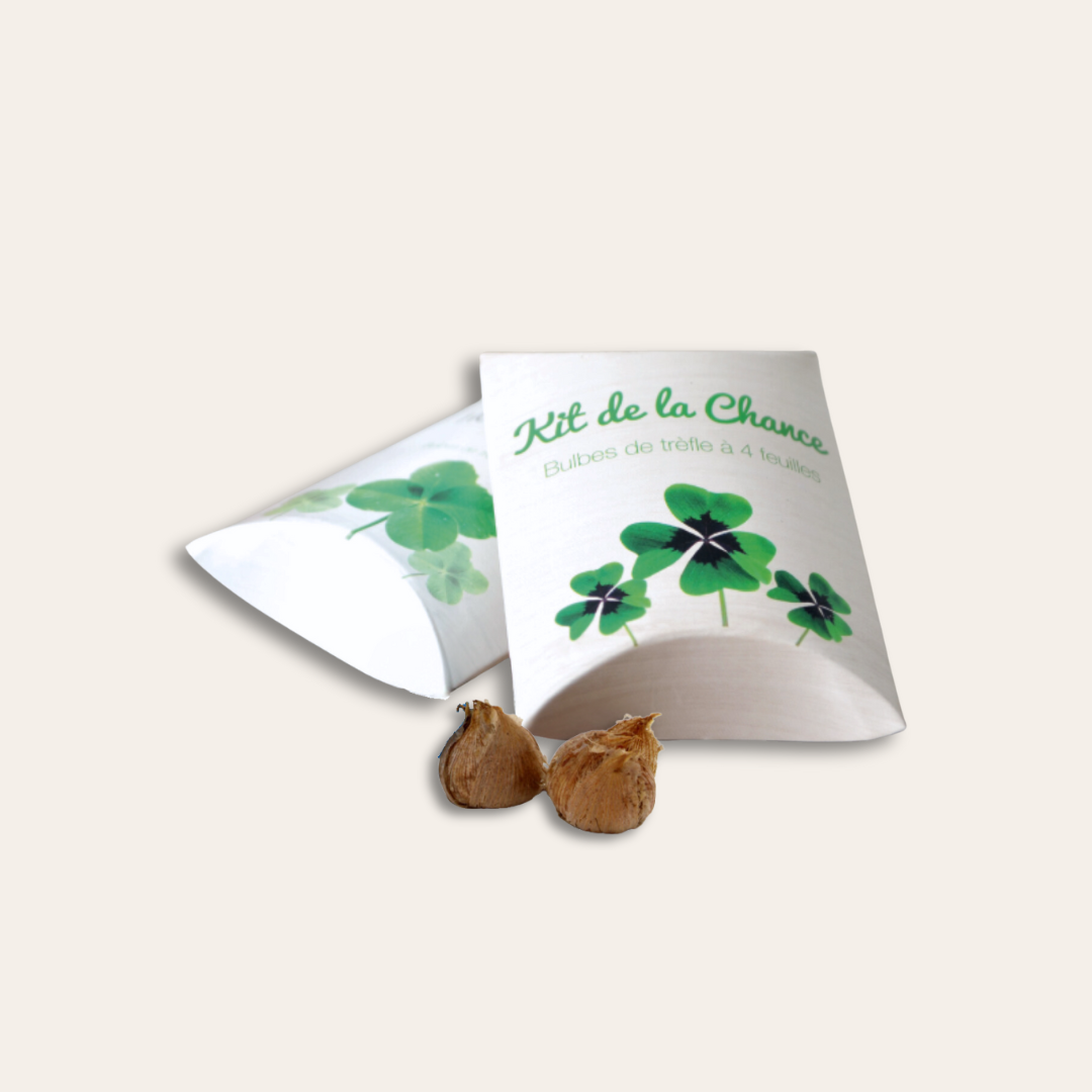 Berlingot trèfles Deux boîtes berlingot trèfles kit de la chance et deux bulbes.