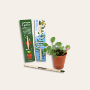 Trois crayons de bois à planter et publicitaire et un pot de plante sur le côté.