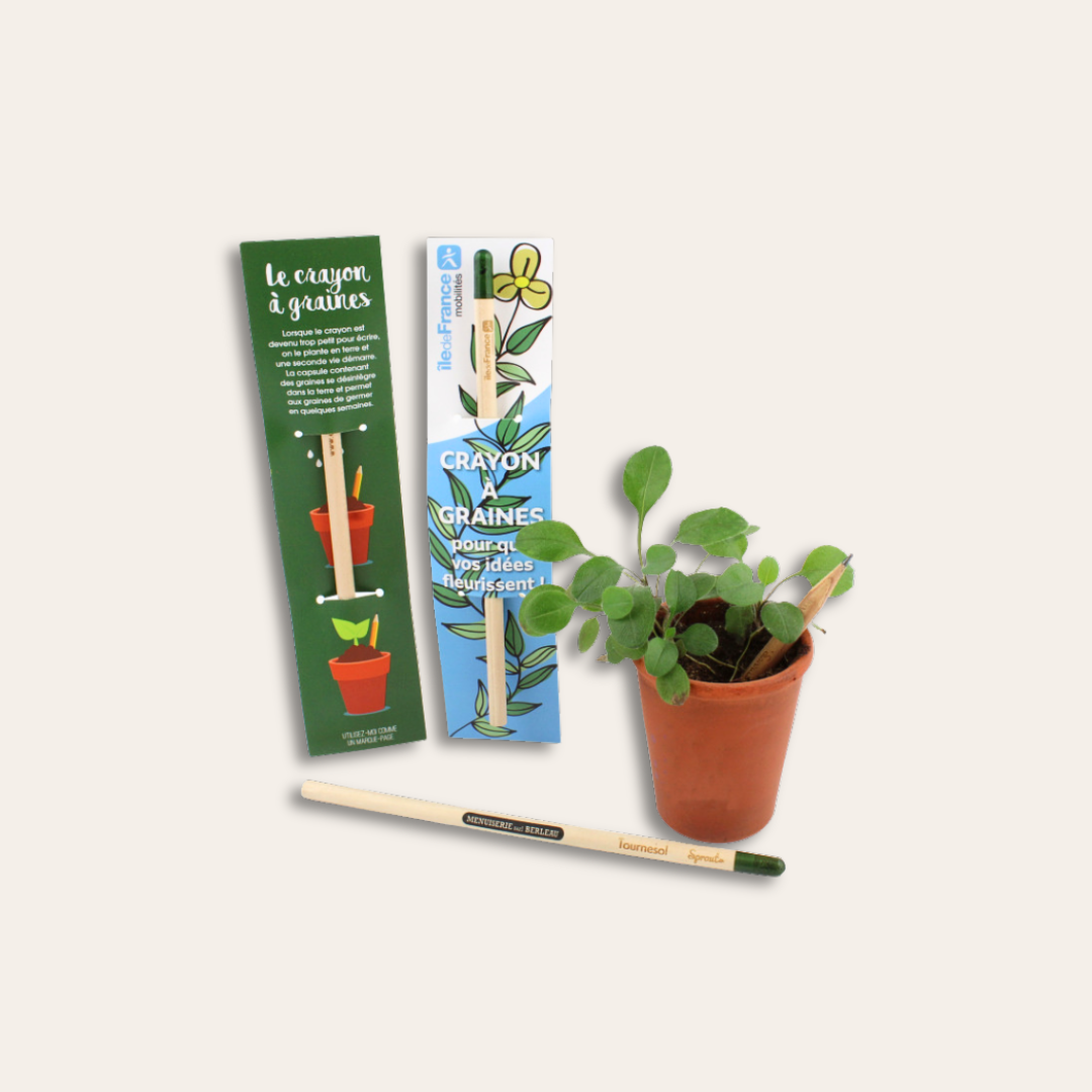Crayon à planter personnalisé et avec plante Trois crayons de bois à planter et publicitaire et un pot de plante sur le côté.