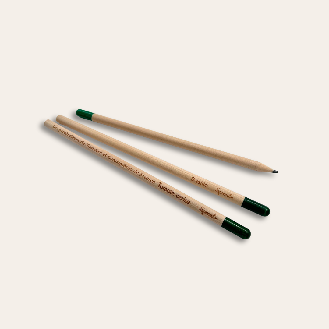 Crayon à planter écologique et durable Trois crayons de bois gravés.