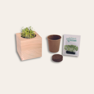 Kit d'un cube en bois : cube, tourbe, sachet graine et fourreau.