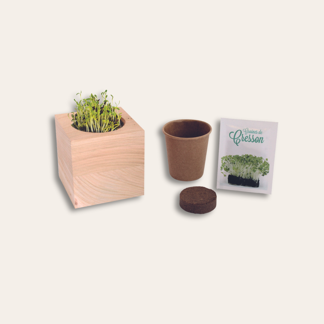 Kit cube bois gravé Kit d'un cube en bois : cube, tourbe, sachet graine et fourreau.
