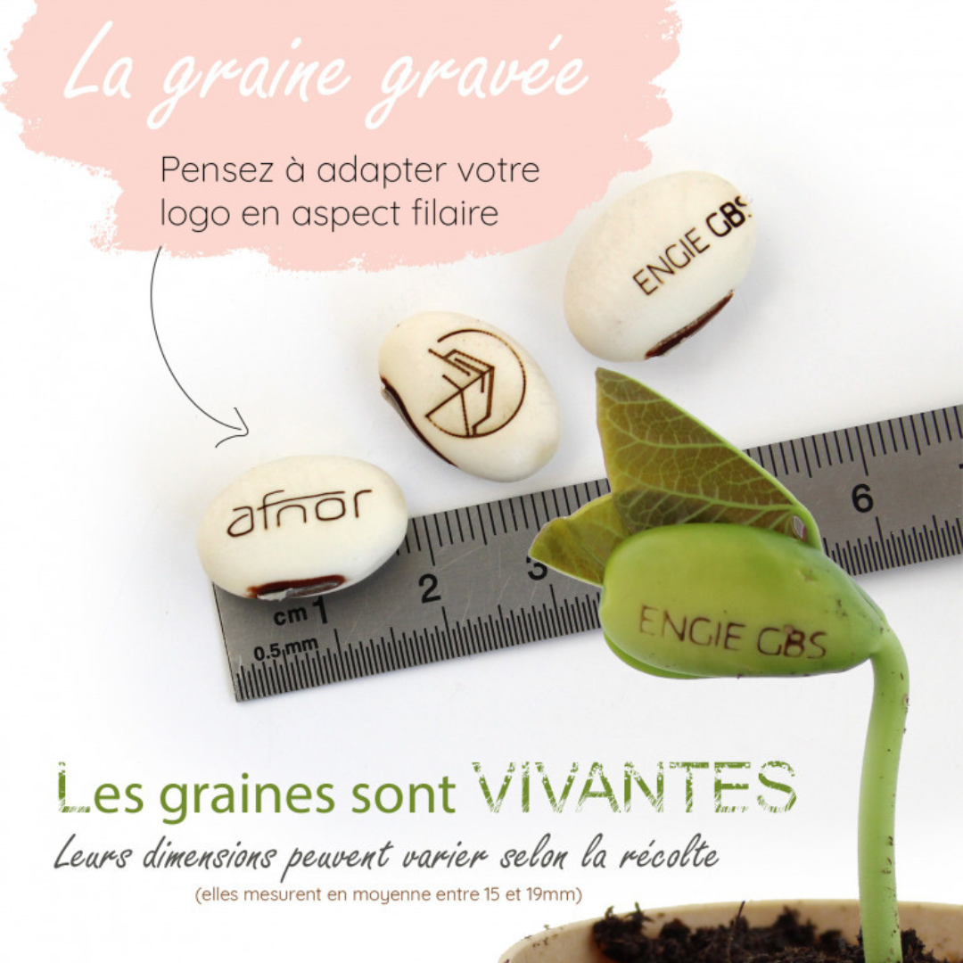Afnor, Engie GBS gravés sur haricot Mode de personnalisation des graines gravés.