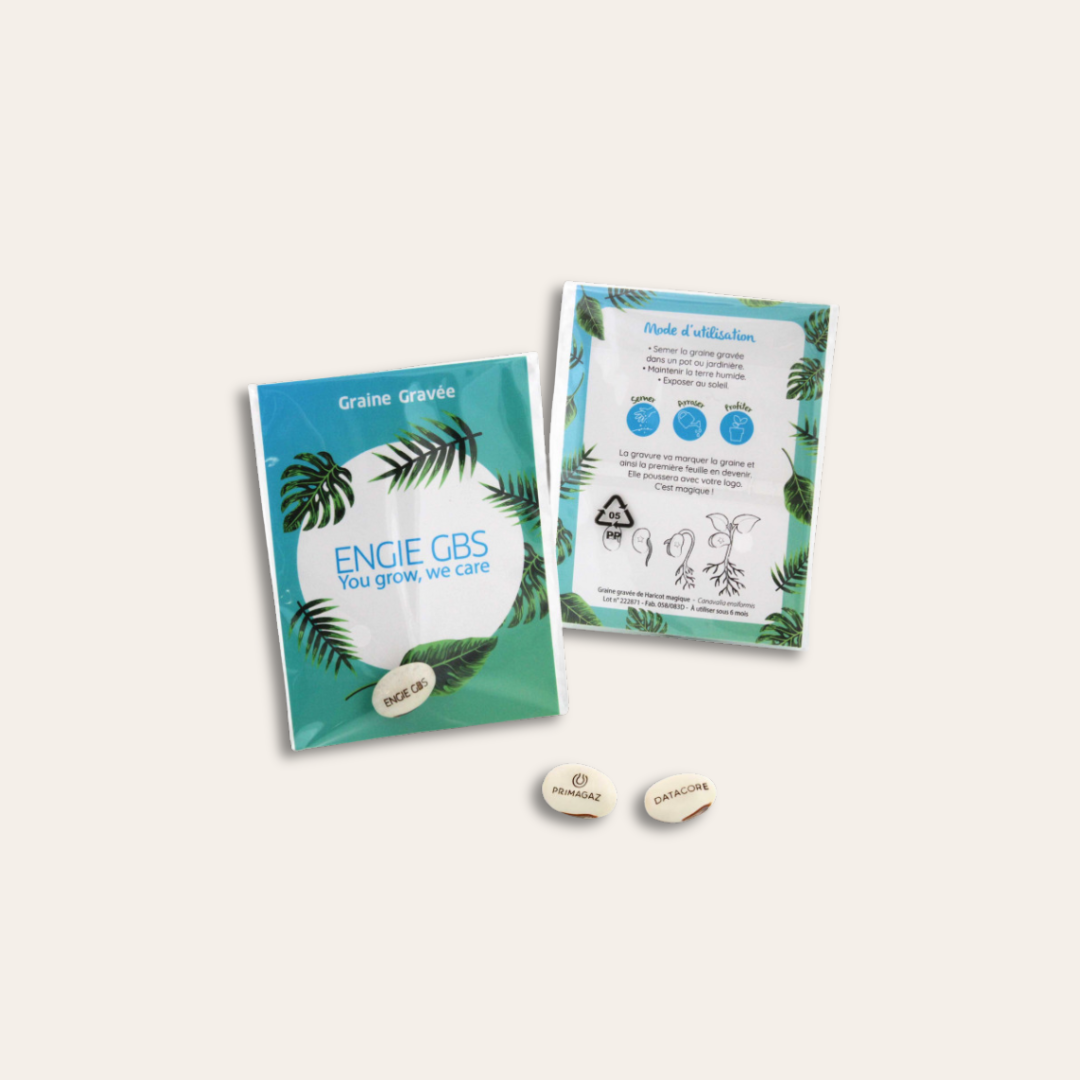 Gaines de haricot gravées Deux sachets de graines gravées.