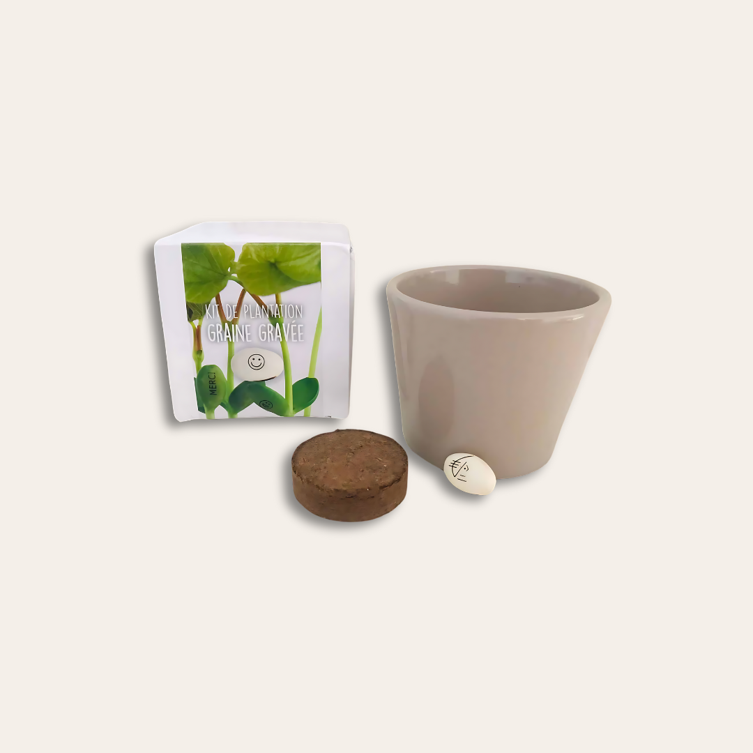 Kit plantation graine gravée Caisse d'Epargne Boite de kit de plantation, une graine gravée au logo de la Caisse d'Epargne, une tourbe et un pot.