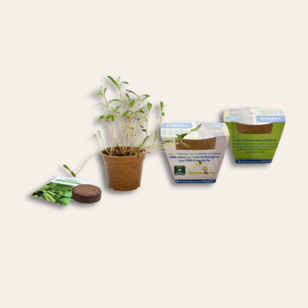 Kit pot de plante, personnalisé et écologique, avec tourbe et sachet de graine.