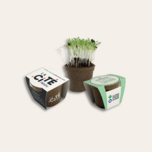 Deux kits de pot de plante personnalisé et écologique, avec un pot de tiges en développement.