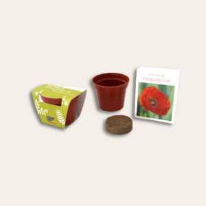 Kit pot de plante, coloris rouge avec sachet de graine et tourbe.