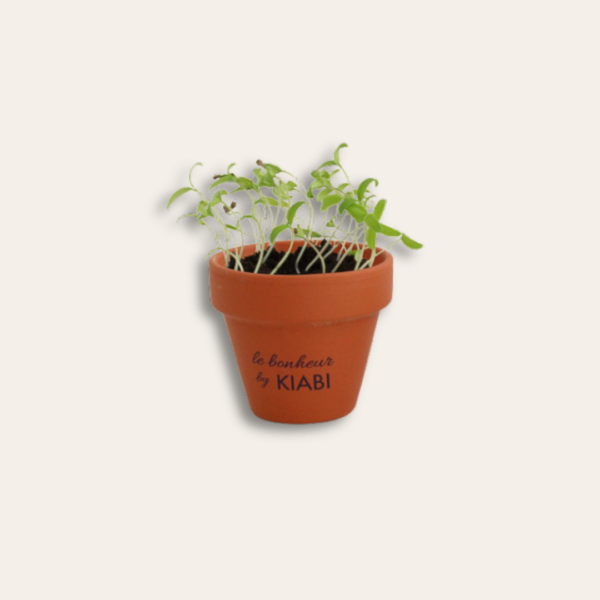 Pot fait de terre cuite avec des tiges de plantes pour Kiabi.