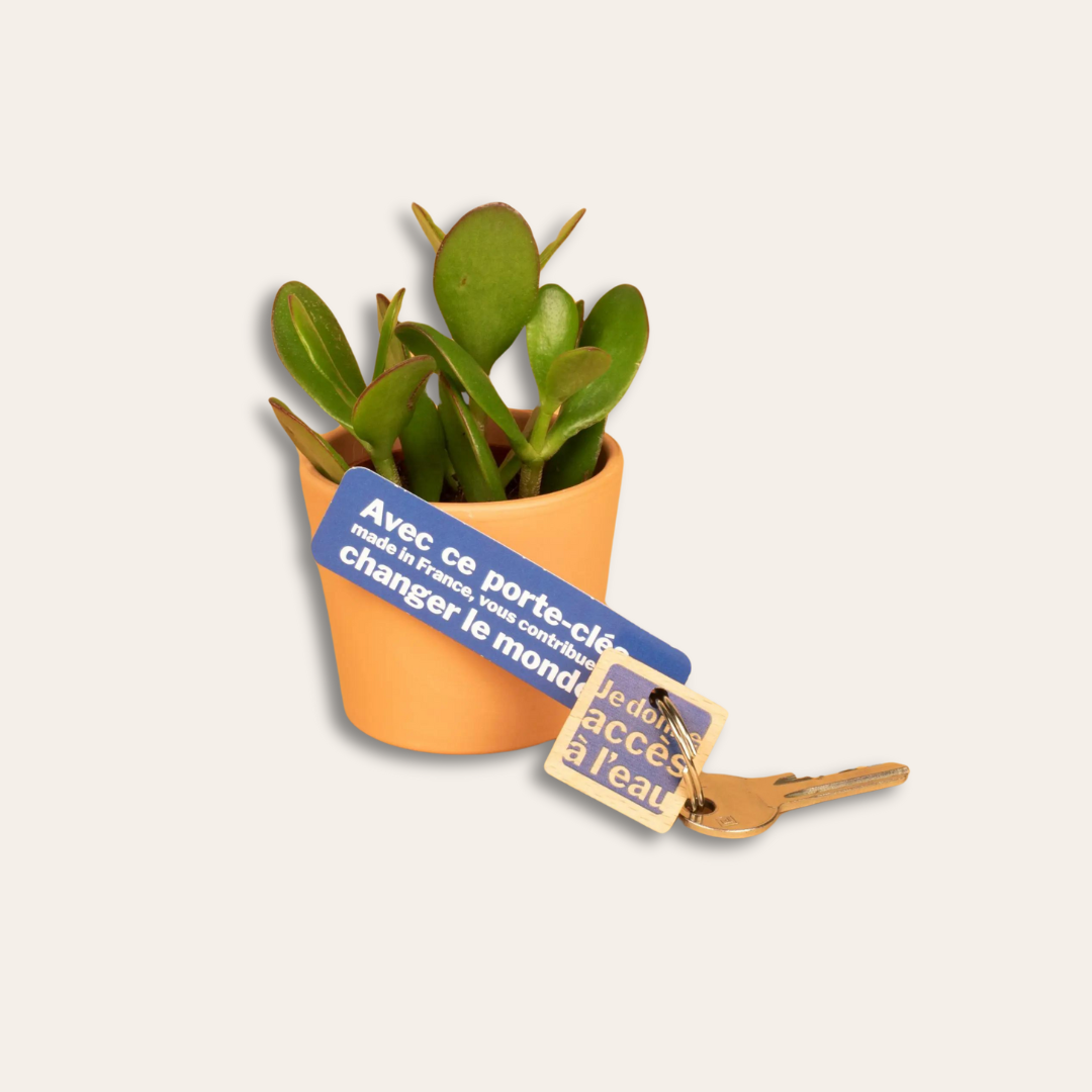 Porte-clé en bois carré et une cartonnette en papier recyclé Trousseau de clé avec le porte-clé en bois carré, personnalisé avec une cartonnette et une plante en arrière-plan.