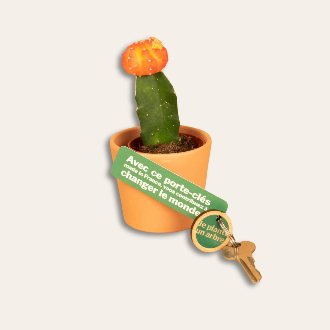 Porte-clé en bois rond et une cartonnette en papier recyclé Trousseau de clé avec le porte-clé en bois rond, personnalisé avec une cartonnette et une plante en arrière-plan.