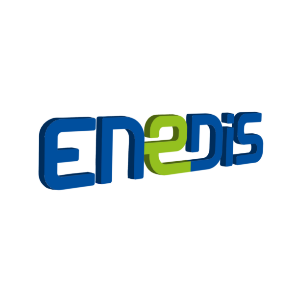 Logo en bois, lettres Enedis, bois peint.