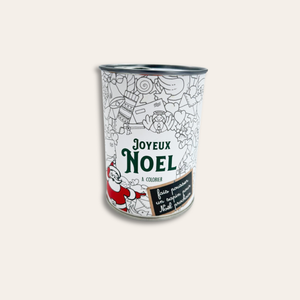 Boîte à graines nommé Joyeux Noël.