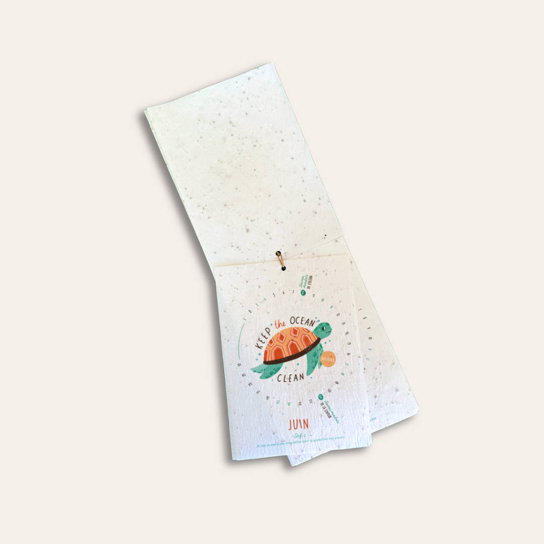 Calendrier à planter personnalisable Calendrier à planter mois de juin et dessin de tortue dessus.