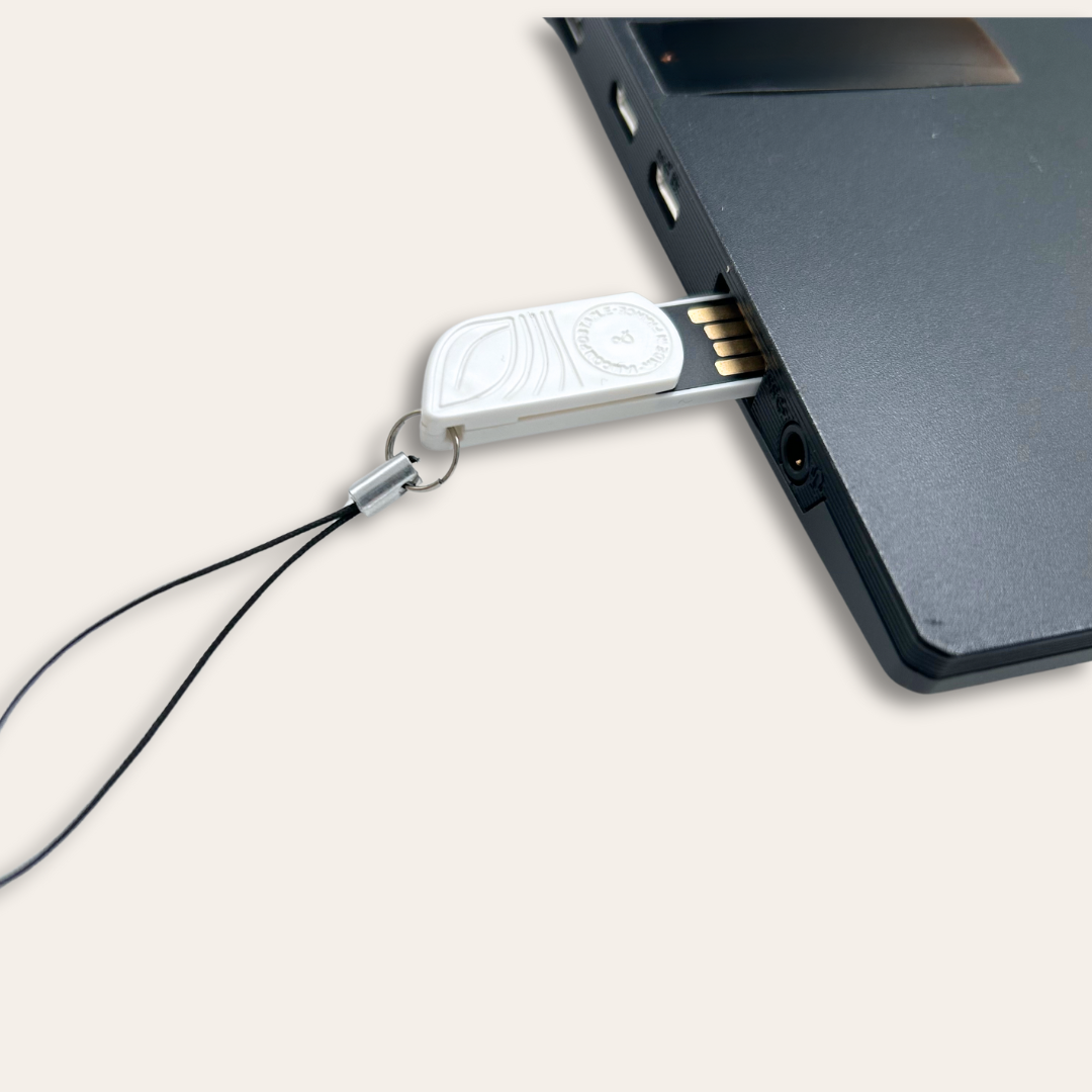 Clé USB en amidon de maïs Clé USB amidon maïs et branché à un ordinateur.