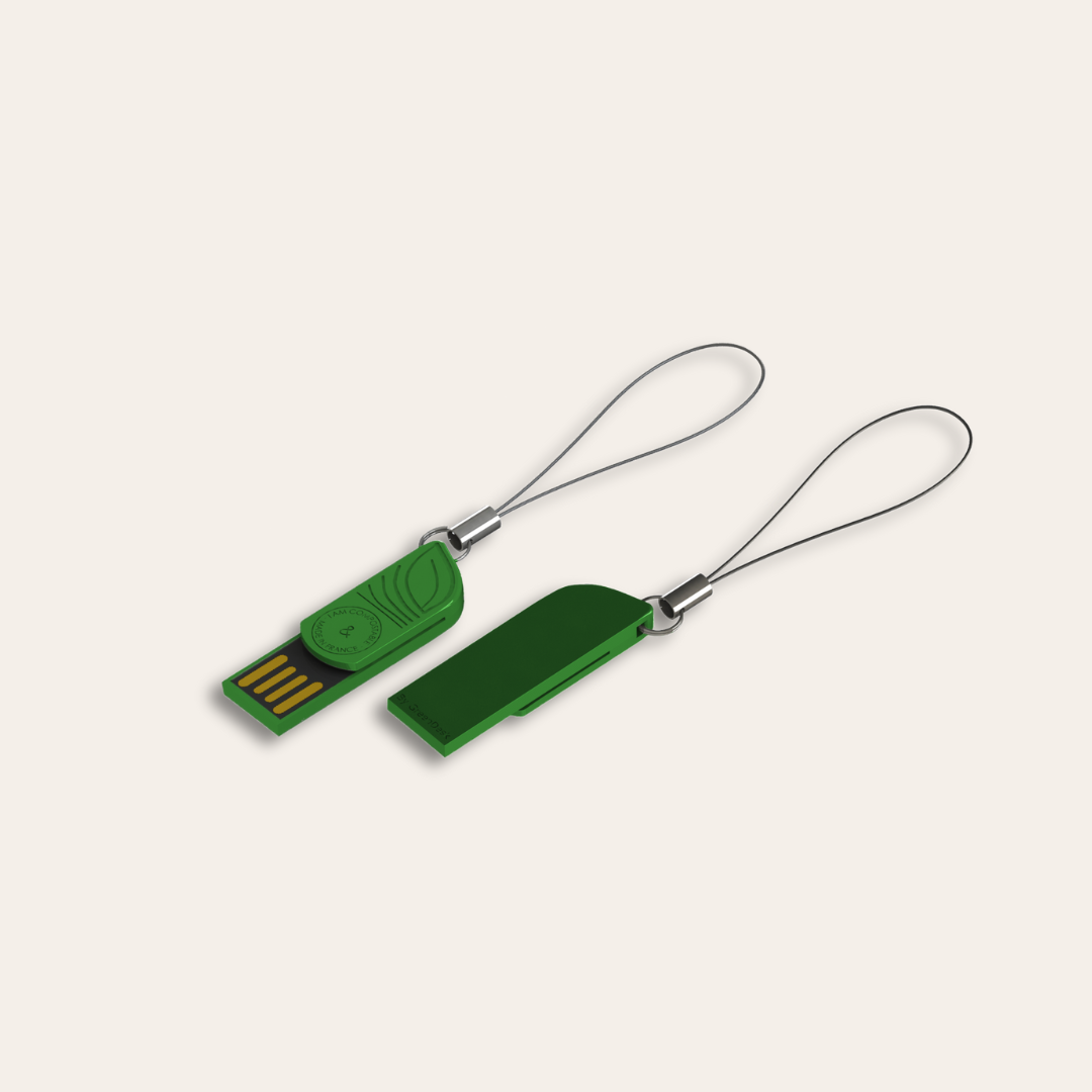 Clé USB amidon de maïs vert Clé USB amidon de maïs coloris vert.