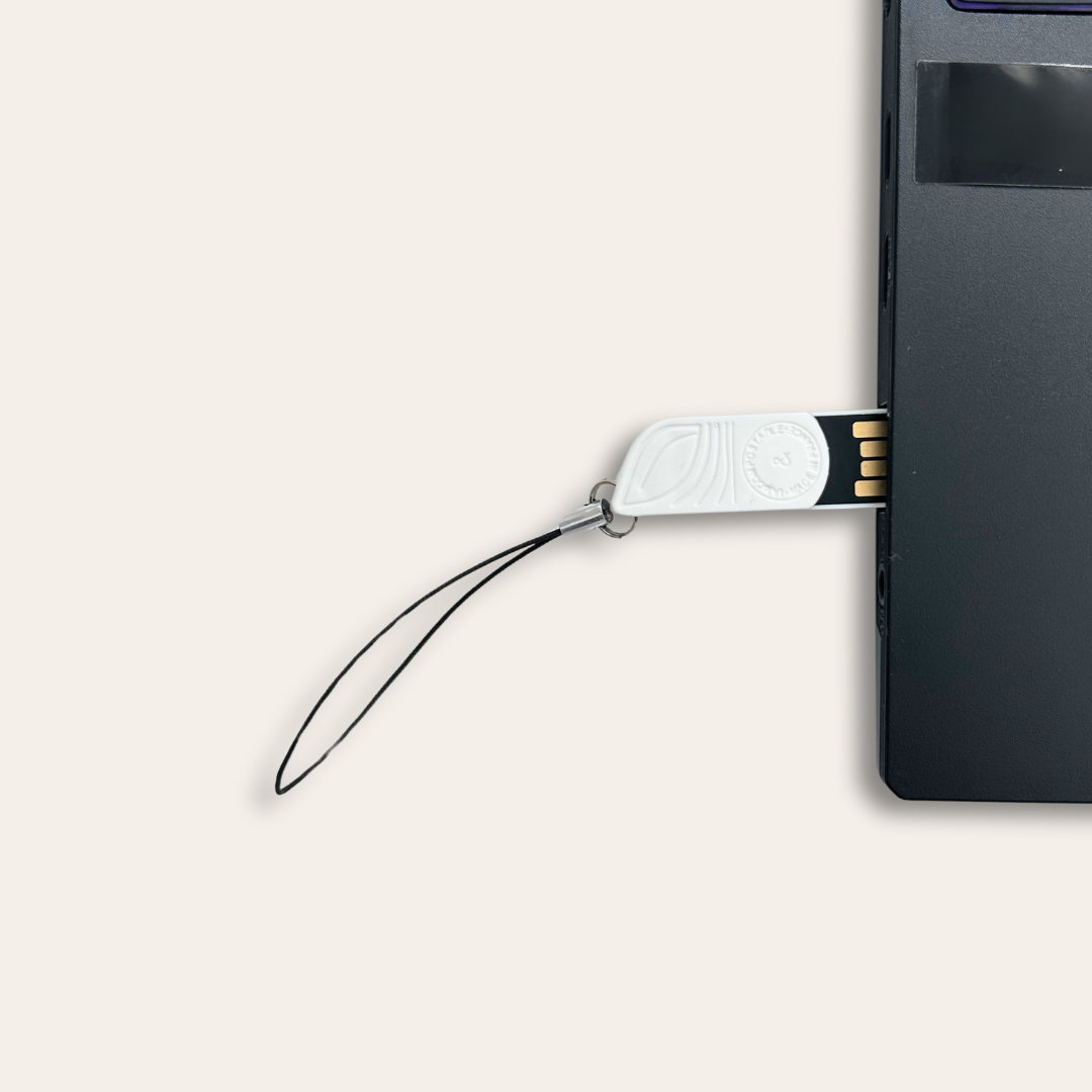 Clé USB Amidon Maïs Clé USB en amidon de maïs branché à un ordinateur.