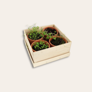 Coffret en bois avec 4 pots de plantes.