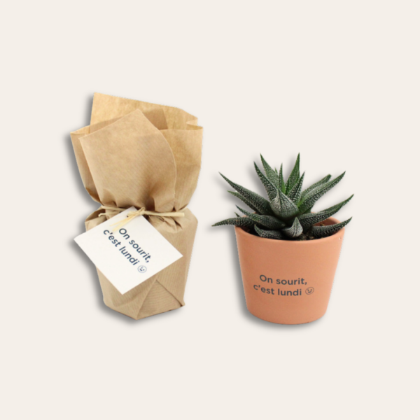 Mini plante avec sachet kraft, étiquette personnalisée et pot personnalisé.