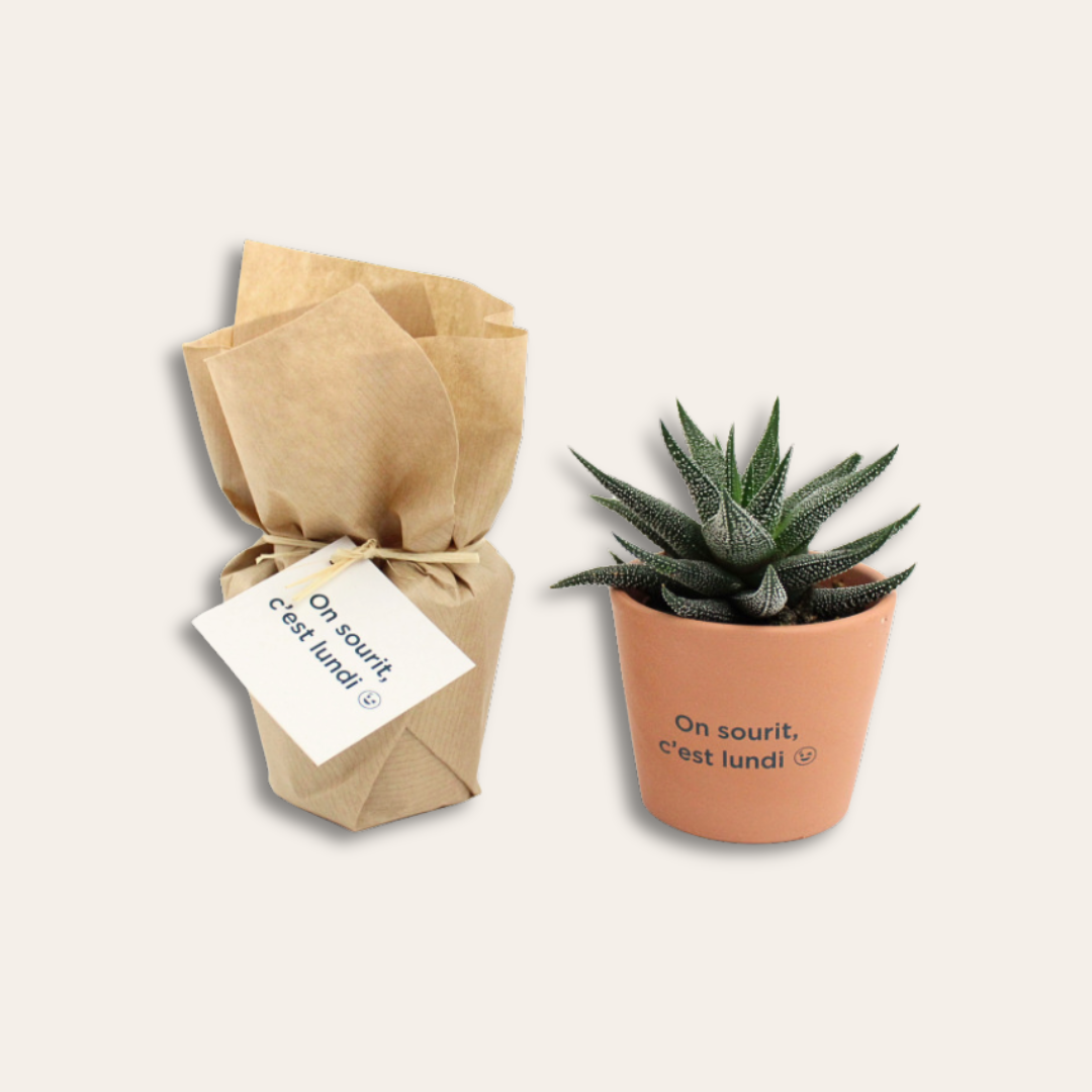 Mini plante dépolluante avec sachet kraft et personnalisable Mini plante avec sachet kraft, étiquette personnalisée et pot personnalisé.