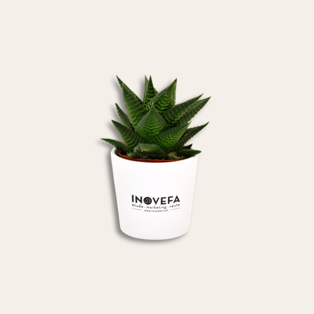 Mini plante dépolluante Inovefa Mini plante dans un pot blanc et illustré.
