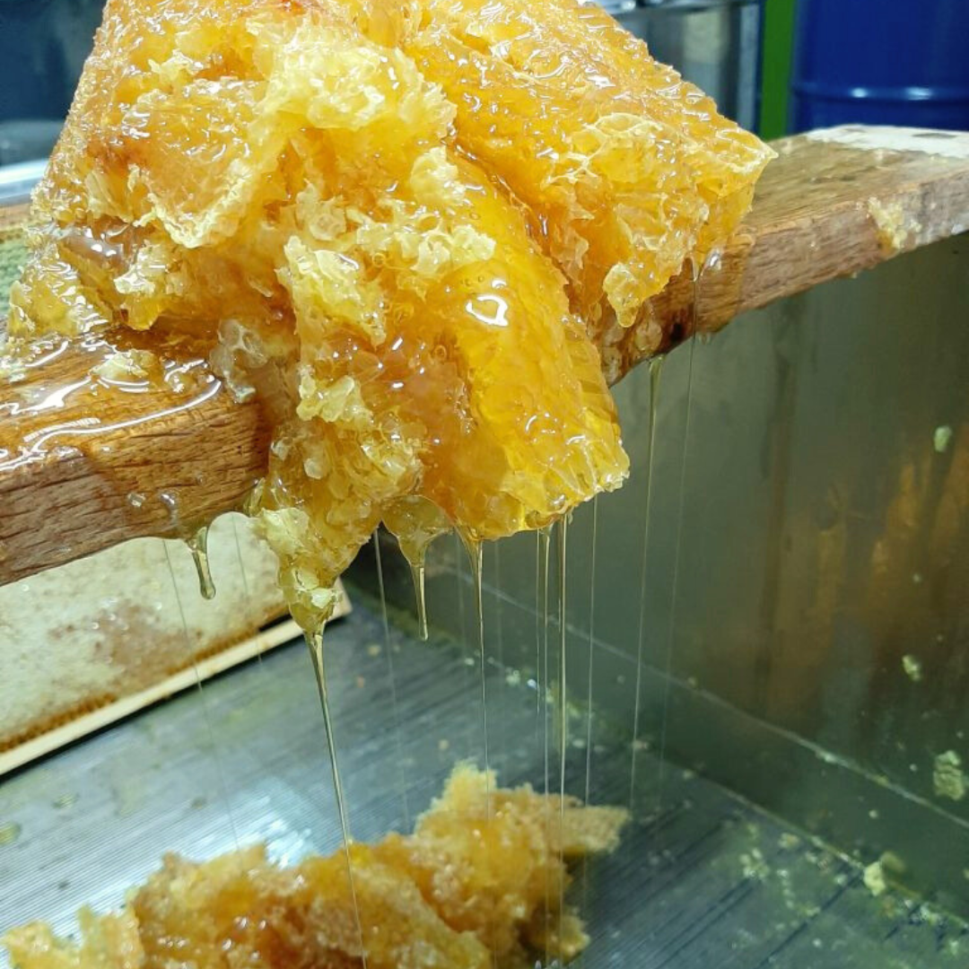 Fabrication du miel Miel posé en hauteur et coule dans un bac.
