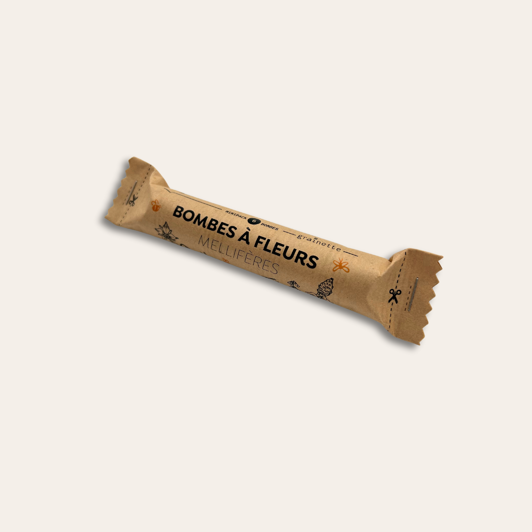 Tube kraft bombes à graines à personnalisé Tube kraft bombes à graines mellifères.