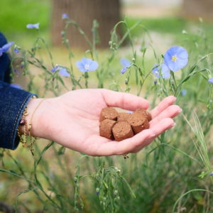 Main tenant des bulles de terres, arrière plan de fleurs et herbes.