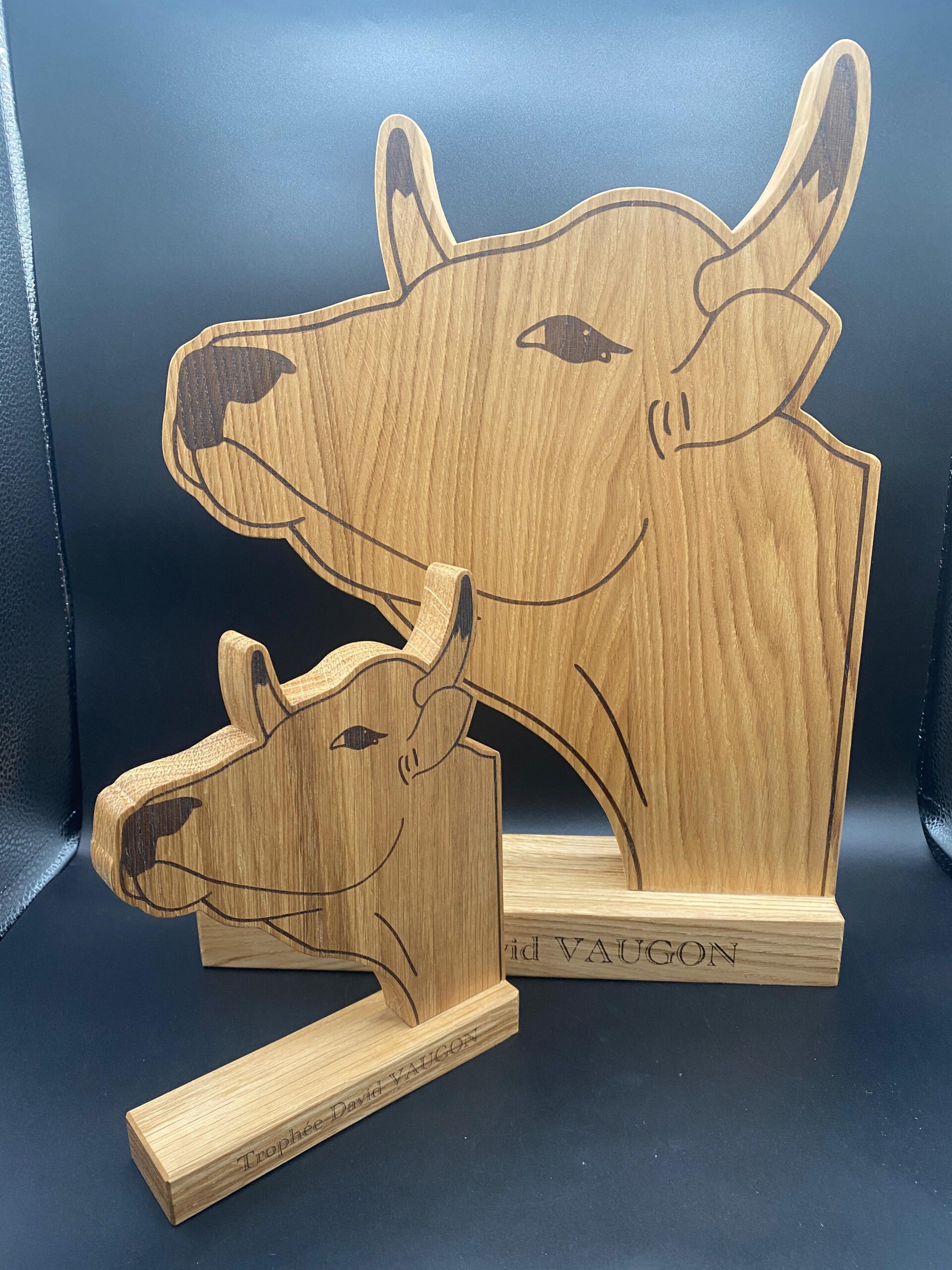 Vaches Asso Gers trophée en bois chêne massif artisanal création sur-mesure forme tête de vache